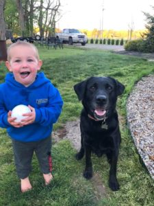 Black Lab and young child playing in the yard